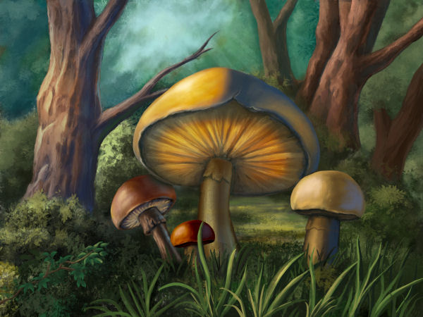Diamond Painting Canvas - Glowing Mushrooms - Click Image to Close